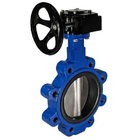 Cast Iron Lag Type Gear Dioperasikan Butterfly Valves 200Psi 15mm Hingga 300Mm