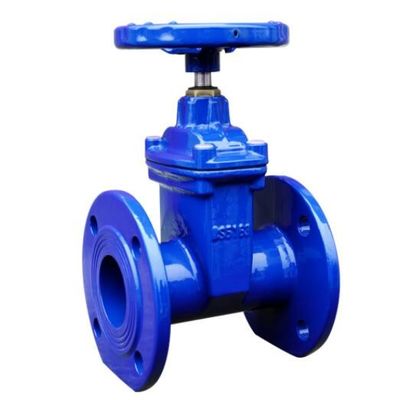PN10 PN16 Resilient Seated Gate Valve Dengan Rising Stem Untuk Pipa Energetika
