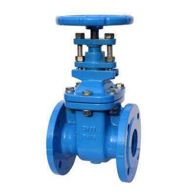 PN10 PN16 Resilient Seated Gate Valve Dengan Rising Stem Untuk Pipa Energetika