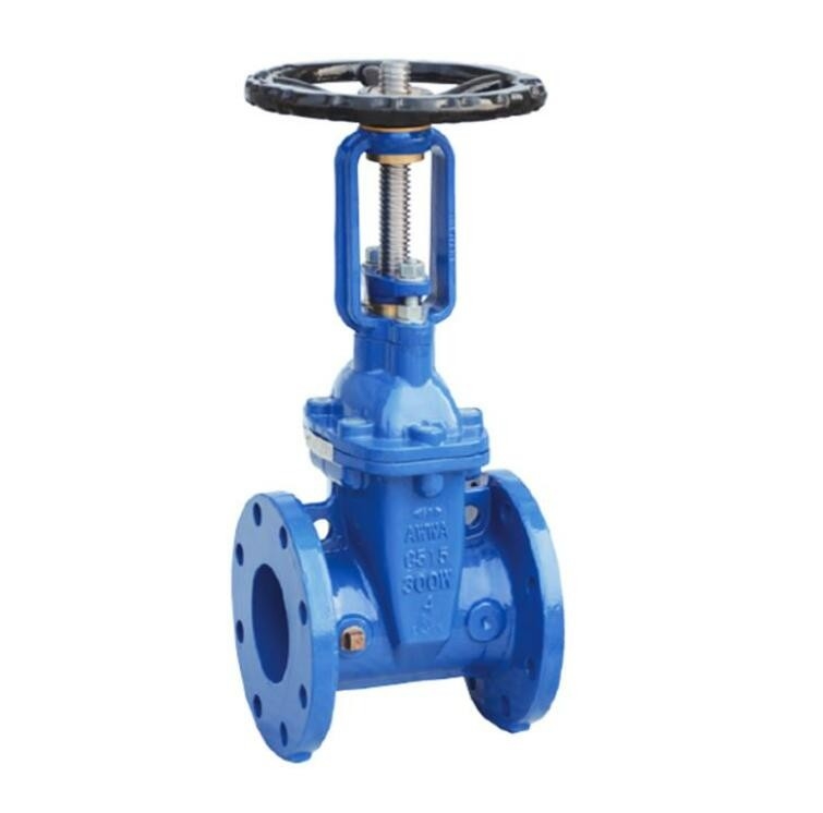 Katup Gerbang Kursi Logam ASME B16.10 DN50 ASME B16.1 CL125 KELAS 300 Katup Gerbang